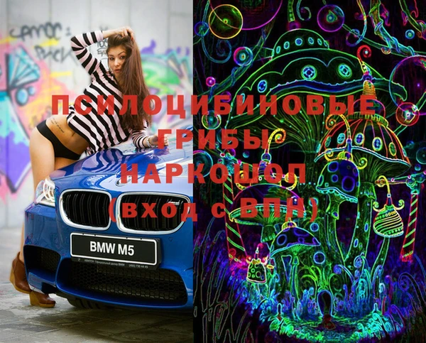 PSILOCYBIN Абдулино