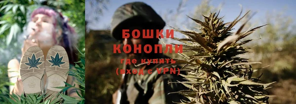 PSILOCYBIN Абдулино