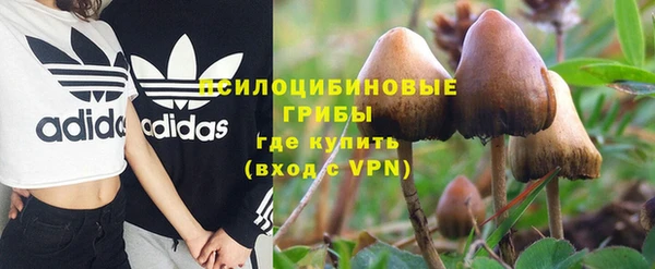 ГАЛЛЮЦИНОГЕННЫЕ ГРИБЫ Абинск